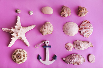 Sea souvenirs on pink background