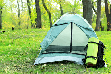 Touristic tent on green grass in a forest