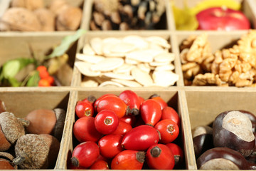 Autumn composition in decorative wooden box, close up