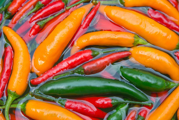 Colorful chilli