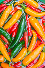 Colorful chilli