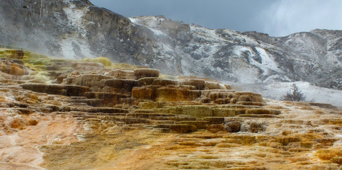 Mammoth Hot Springs Terraces