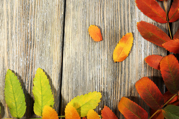 Fototapeta na wymiar Beautiful autumn leaves on wooden background