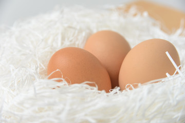 Eggs