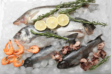 Fresh fish and other seafood on ice