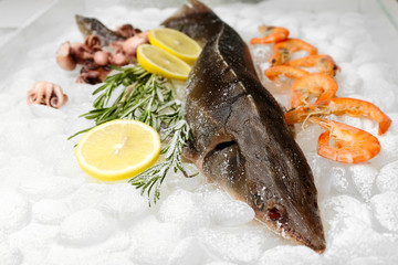 Fresh fish and other seafood on ice