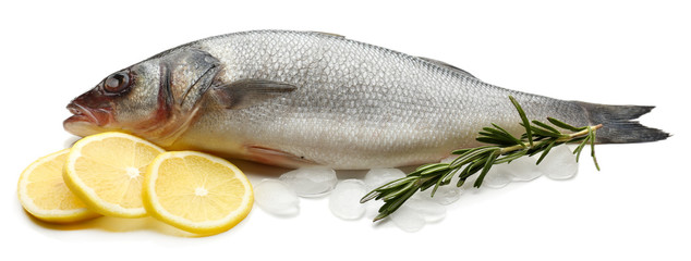 Fresh fish with ice, lemon and rosemary isolated on white