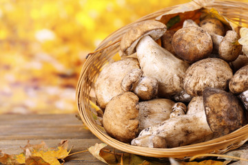 Wild mushrooms and autumn leaves in basket on bright background