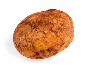 Closeup of dirty Australian organic russet potato