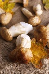 Wild mushrooms and autumn leaves on sacking background