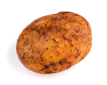 Closeup Of Dirty Australian Organic Russet Potato