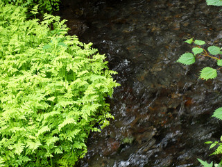弧を描く水の流れ