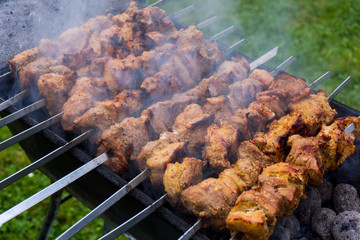 Grilled marinated caucasus barbecue meat shashlik