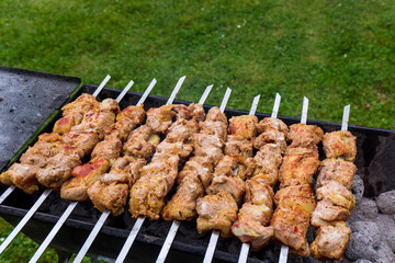 Grilled marinated caucasus barbecue meat shashlik