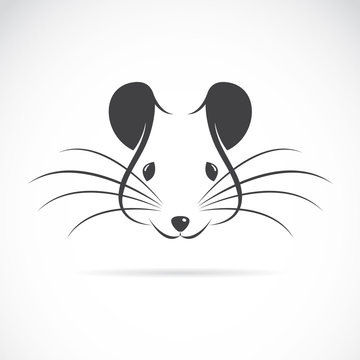 Vector of a rat head design on white background. Animal. Easy editable layered vector illustration.