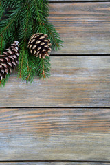 Christmas pine branch with cones