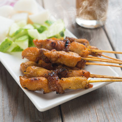 Asian gourmet chicken sate