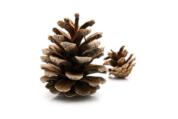 Fototapeta premium cones