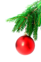 Obraz na płótnie Canvas red ball on the Christmas tree