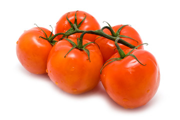 red juicy tomatoes