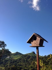 bird house in forest