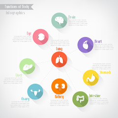 Functions of body infographics, vector eps10