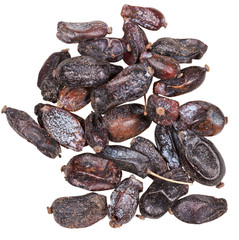 dried black berberis fruits close up isolated