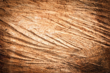 Wood texture/ background.