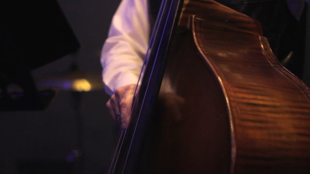 รูปภาพContrabass – เลือกดูภาพถ่ายสต็อก เวกเตอร์ และวิดีโอ14,564 | Adobe ...