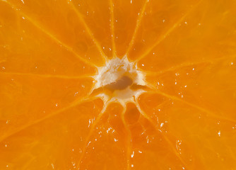 Mandarin in the section closeup