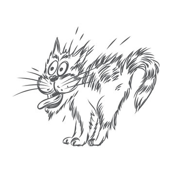 Vector sketch of scared cat
