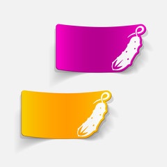 realistic design element: cucumber