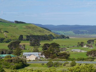 Fototapeta na wymiar The landscape of Cape Otway in Victoria in Australia