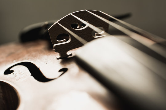Close up shot of a violin,very soft def of field