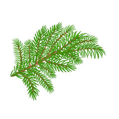 Naklejka premium Spruce branch Christmas tree vector illustration