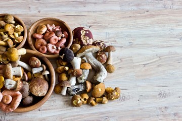 Mixed forest mushrooms in wooden bowls on wooden background