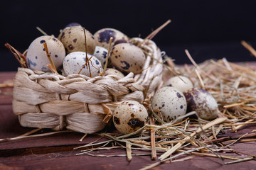 Obraz premium quail eggs