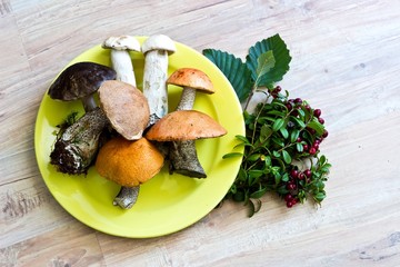 Autumn composition with mushrooms on yellow plate