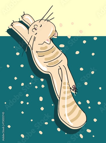 "cat jump" Stock image and royalty-free vector files on Fotolia.com