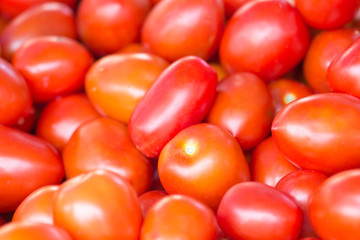 petites tomates