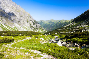 Fototapeta na wymiar Hlinska Valley, Vysoke Tatry (High Tatras), Slovakia