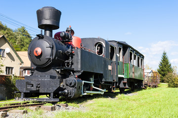 Fototapeta na wymiar steam locomotive, Viglas, Slovakia