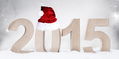 Celebrating New Year 2015