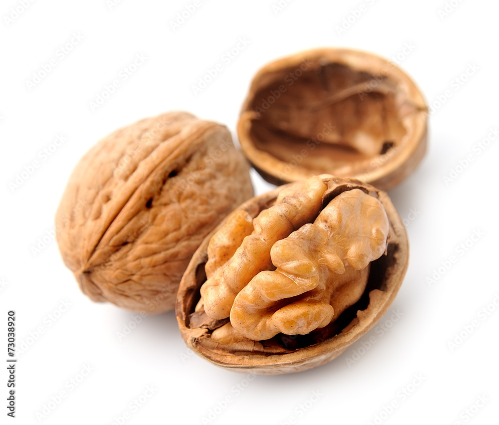 Canvas Prints walnuts