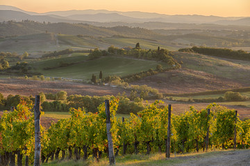 Sunset in Chianti