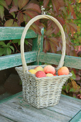 Ripe apple in braided basket