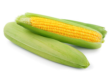 Fresh raw corn on white background. isolated