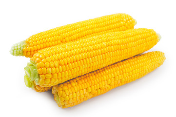Fresh raw corn on white background. isolated