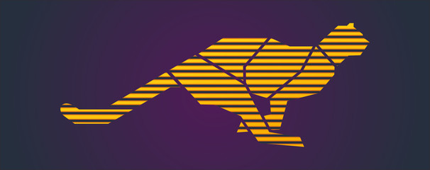 Run Cheetah Logo