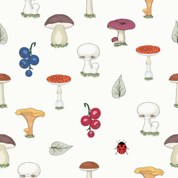 hand drawn forest mushrooms seamless pattern